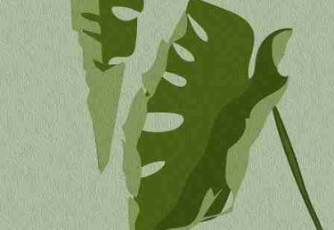 黑料网app首播网络热梗全记录——人物画像最新进展