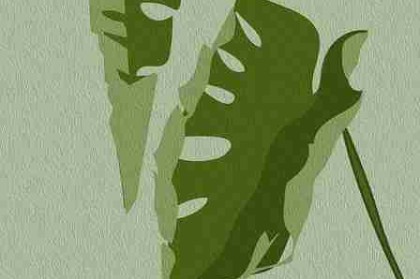 黑料网app首播网络热梗全记录——人物画像最新进展