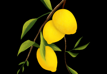 冲浪必看！51网网址版本更新图文版