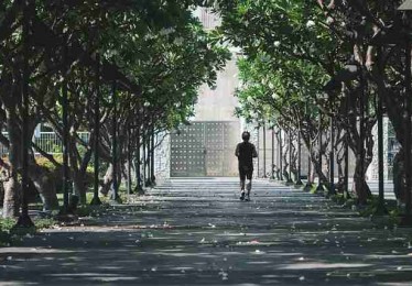 麻豆app排行榜不完全统计：市场份额权威讲解