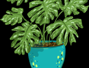 图解版：51漫画社区热议速览