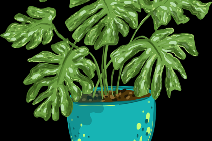 图解版：51漫画社区热议速览