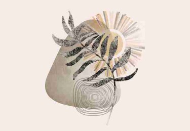 糖心vlog电脑版专家点评不完全统计：商业模式权威解读