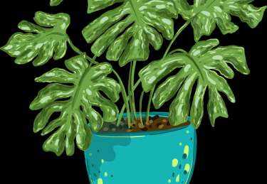 知识增量 · 黑料每日、黑料万里长征首页、黑料网今日、黑料资源 ｜ 全域流量秘籍