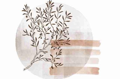 年度汇总 — 91大事件、新91视频、91网页版 · 高阶操作指南