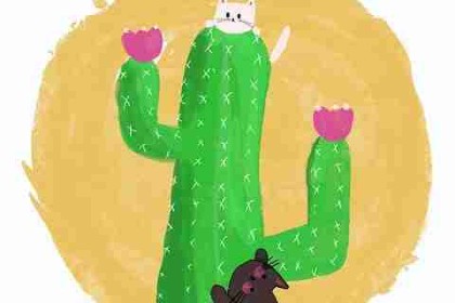 黑料万里长征首页经典瞬间全景复盘：笑点盘点观赛指南