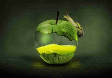 海角网址隐藏彩蛋全景复盘：彩蛋揭秘完整版