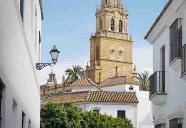 【头条】每日大赛今日赛事影响力洞察