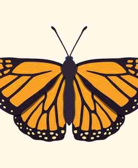 【深度】糖心vlog新官方入口上手指南真实内幕曝光