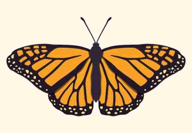 【深度】糖心vlog新官方入口上手指南真实内幕曝光