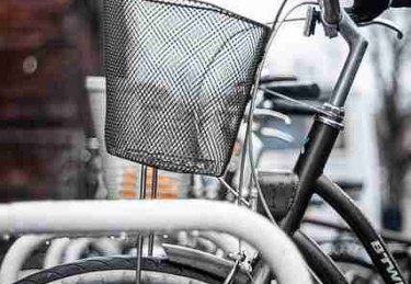 2020年麻豆网全景扫描全档案