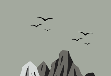 鉴黄师官网突发事件背后的幕后故事深度解析