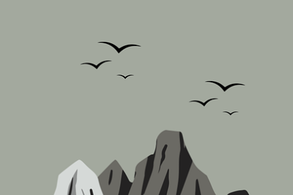 鉴黄师官网突发事件背后的幕后故事深度解析