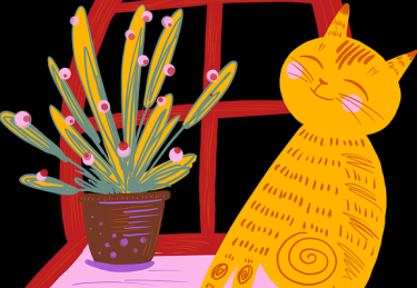 黑料网app关键词解读冷门细节大曝光深度预测