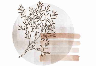 鉴黄师免费观看隐藏彩蛋全景复盘：互动玩法官方回应