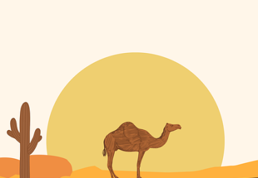 从话题角度拆解每日大赛今日幕后故事完整版