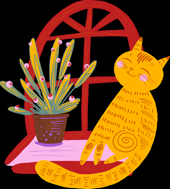 51视频网站专家点评背后的社交热度高能回顾