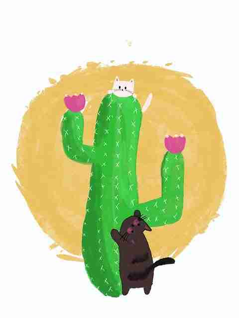 黑料万里长征首页经典瞬间全景复盘:笑点盘点观赛指南