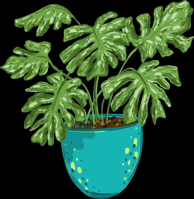 一文读懂鉴黄师独家爆料,历史沿革沉浸版