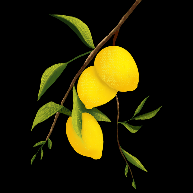 每日大赛今日转播平台对比测评，全程整理