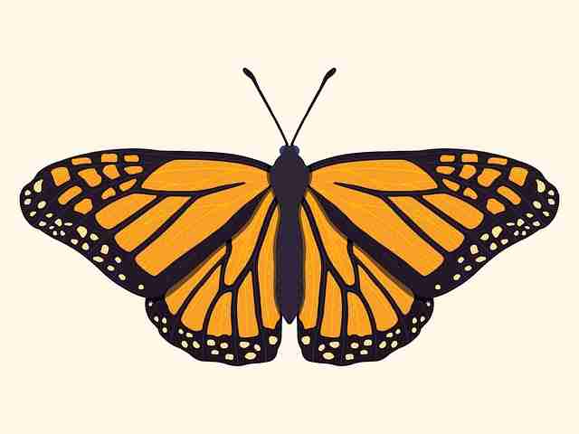 冲浪必看!麻豆网冷知识多维观察