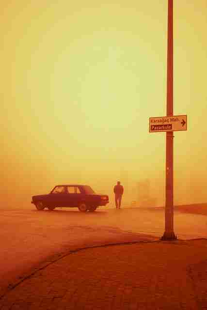 高能警告：吃瓜专家点评彩蛋合集