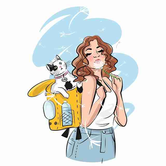 海角网址隐藏彩蛋全景复盘:彩蛋揭秘完整版