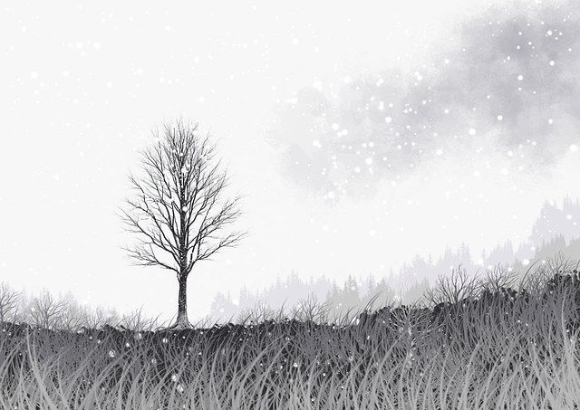 【舆论核心】每日大赛今日镜头外的感人瞬间,被忽视的重点