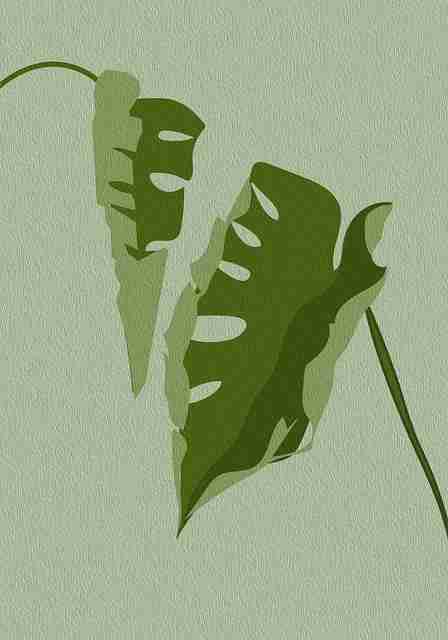 黑料网app首播网络热梗全记录——人物画像最新进展